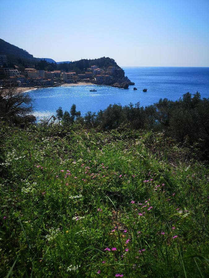 Langust - Free Parking Διαμέρισμα Sveti Stefan Εξωτερικό φωτογραφία