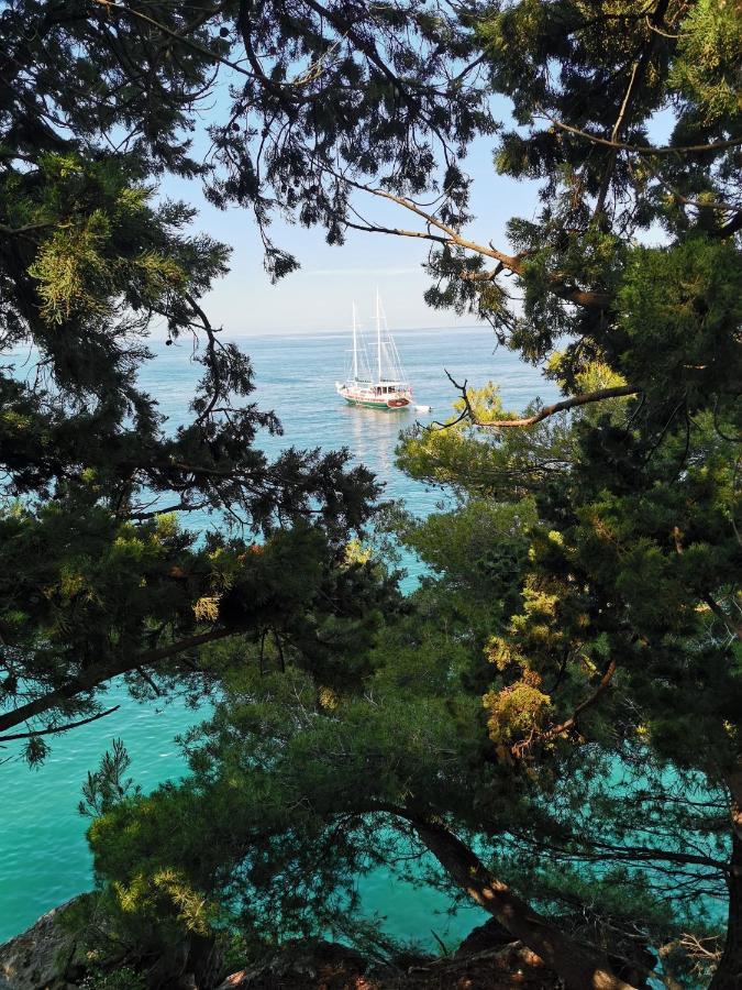 Langust - Free Parking Διαμέρισμα Sveti Stefan Εξωτερικό φωτογραφία